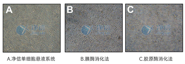 顯微鏡下觀察不同處理方法的細胞形態(tài).png