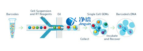 中國(guó)人自己的微流控單細(xì)胞測(cè)序儀來(lái)了！_微流控Drop-seq,微流控技術(shù)