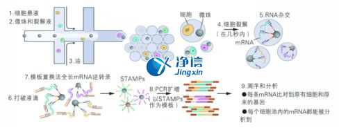 中國(guó)人自己的微流控單細(xì)胞測(cè)序儀來(lái)了！_微流控Drop-seq